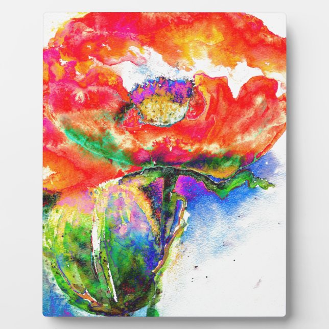 Placa Expositora Disquetera solar roja (Frente)