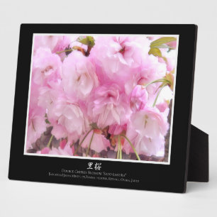 Placa Expositora Doble Flor de Cerezo: Sato-zakura