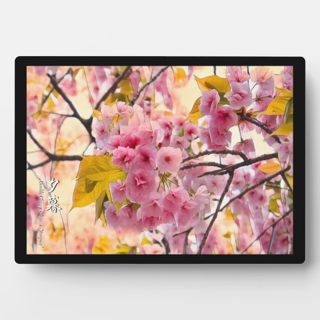 Placa Expositora Doble flor de cerezo "Yuugure" (Frente)