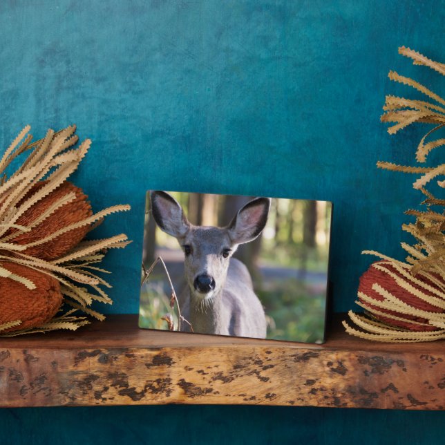 Placa Expositora Doe colombiano de cola negra | Estado de Washingto (Lado)