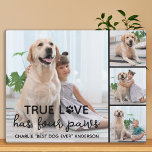 Placa Expositora DOG True LOVE Personalizado Perro Lover 4 Imagen<br><div class="desc">¡El Verdadero Amor Tiene Cuatro Palas! Celebra a tu mejor amigo con una placa fotográfica de perro única y personalizado. Sorprende a tu amante favorito del perro, ya sea un cumpleaños, el día de la madre, día de San Valentín o Navidades con esta linda placa de perro con fotos de...</div>