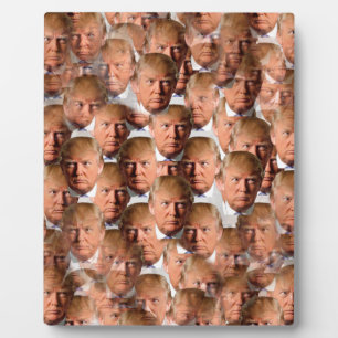 Placa Expositora donald drumpf