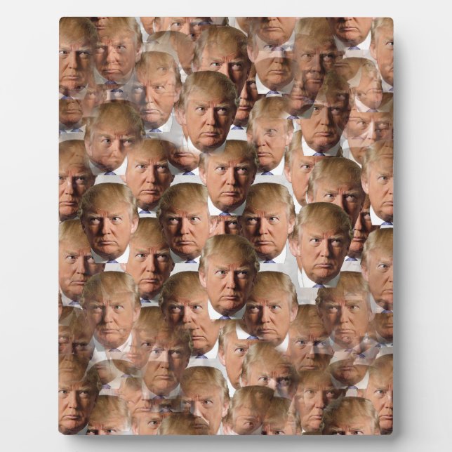 Placa Expositora donald drumpf (Frente)