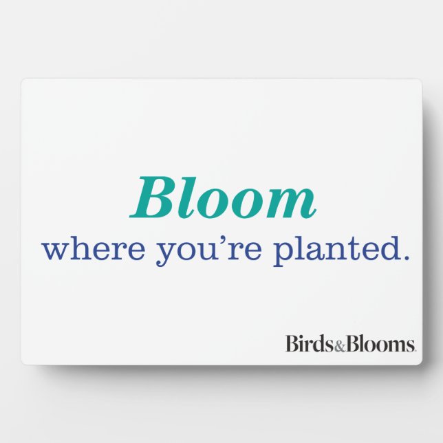 Placa Expositora Donde te plantan (Frente)