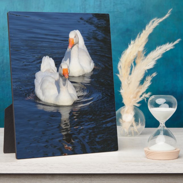 Placa Expositora Dos Geese Emden II (Lado)