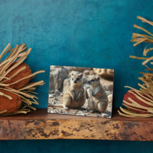 Placa Expositora Dos Rottnest Australianos Es Land Quokkas,