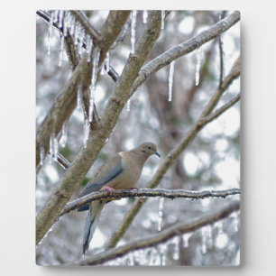 Placa Expositora Dove de duelo