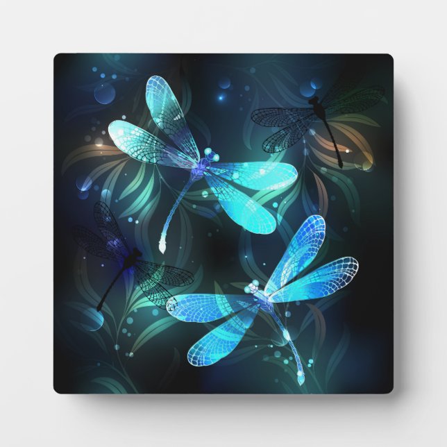 Placa Expositora Dragonflies (Frente)