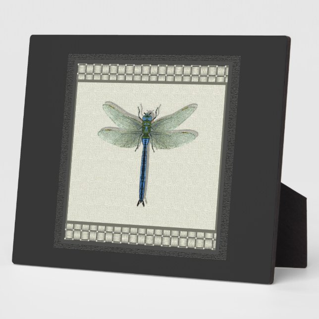 Placa Expositora Dragonfly elegante (Lado)