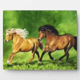 Placa Expositora Dream Team