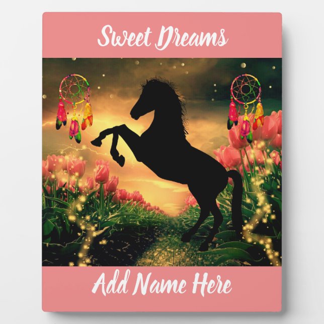 Placa Expositora Dreamcatcher (Frente)