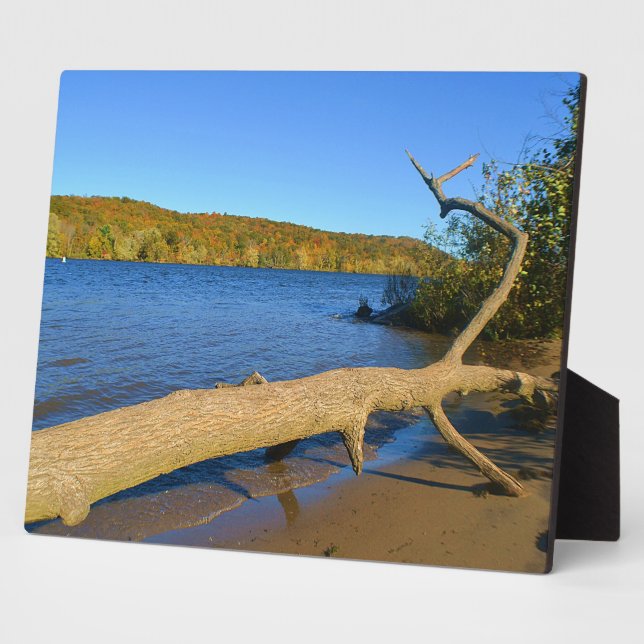 Placa Expositora Driftwood Plaque (Lado)