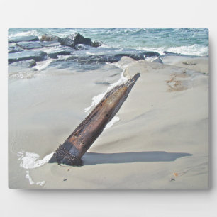 Placa Expositora Driftwood Unchained