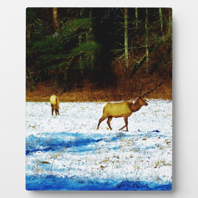 PLACA EXPOSITORA DSC00131.JPG (Frente)