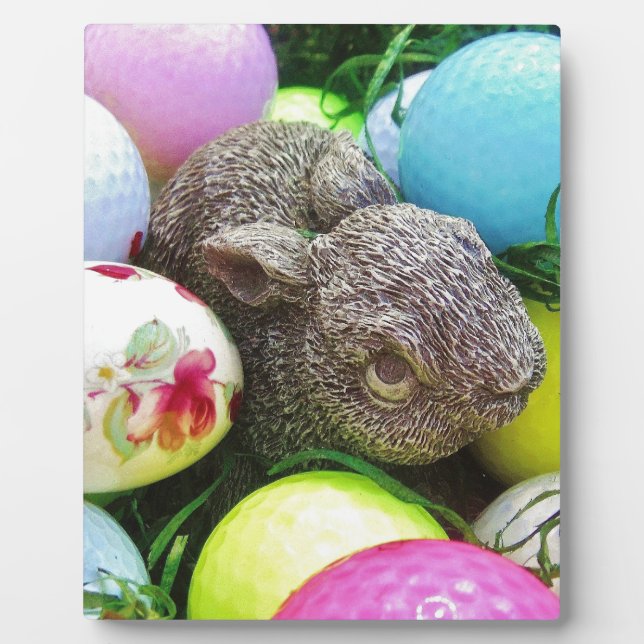 PLACA EXPOSITORA DSCF0438.JPG (Frente)