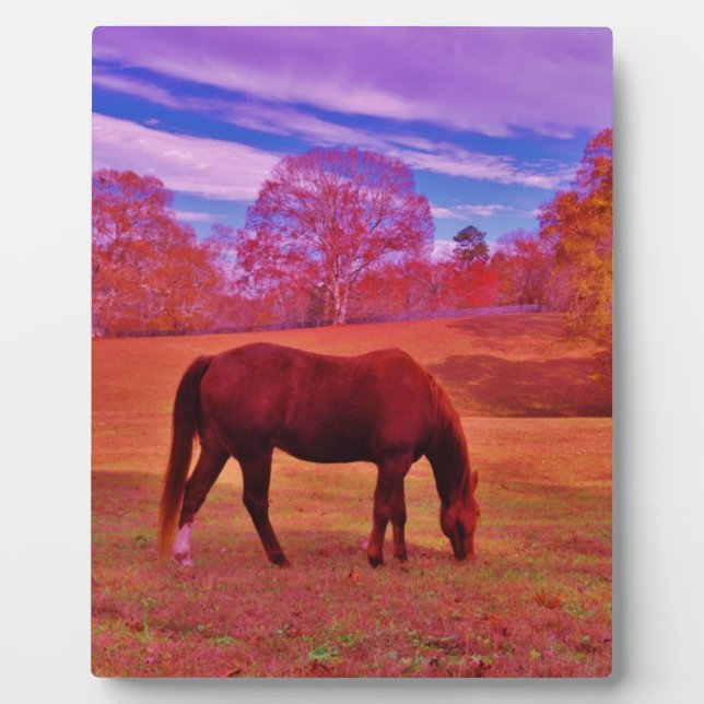 PLACA EXPOSITORA DSCF0536.JPG (Frente)