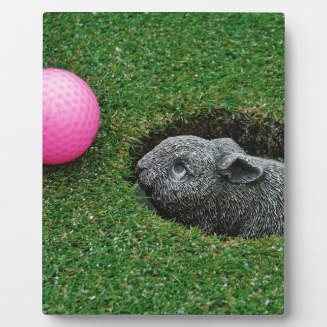 PLACA EXPOSITORA DSCF0652.JPG (Frente)