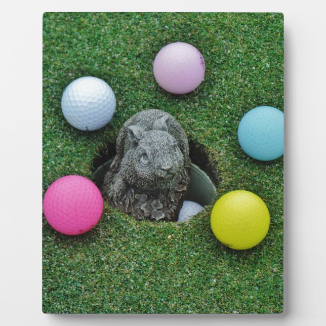 PLACA EXPOSITORA DSCF0698.JPG (Frente)