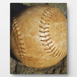 PLACA EXPOSITORA DSCF7523.JPG