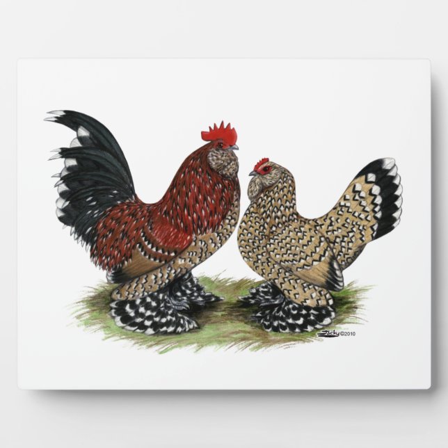 Placa Expositora D'Uccle Bantams:  Mille Fleur (Frente)