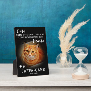 Placa Expositora Dueño de Gato   Huellas de patas en nuestros coraz