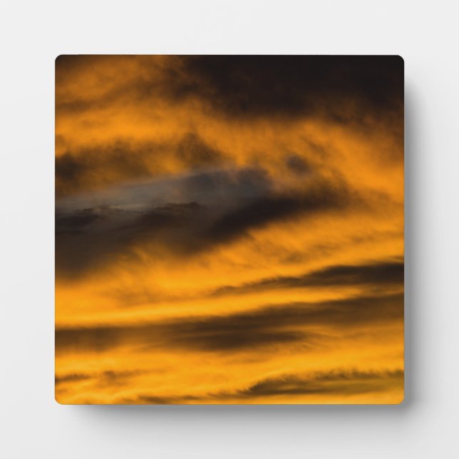 Placa Expositora eagle burnout (Frente)