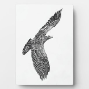 Placa Expositora EAGLES HARRIET + M ÁRBOL DE LA FAMILIA E9s NUEVA V