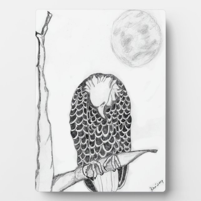 PLACA EXPOSITORA EAGLES HARRIET OZZIE M15 ES EL HOGAR DE NUESTRO ÁR (Frente)