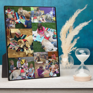 Placa Expositora Easel de terapia máxima (8x10)