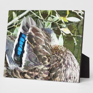 PLACA EXPOSITORA EDUCADORES DE PATO