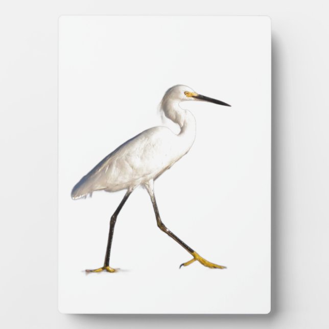 Placa Expositora Egret en la playa (Frente)