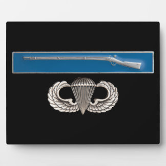 Placa Expositora EIB Airborne