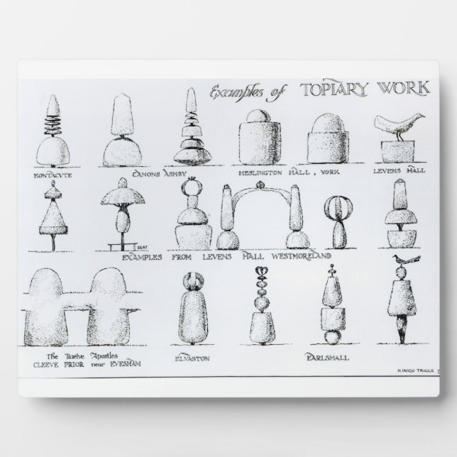 Placa Expositora Ejemplos de trabajo temático, 1902 (grabado) (b/w  (Frente)