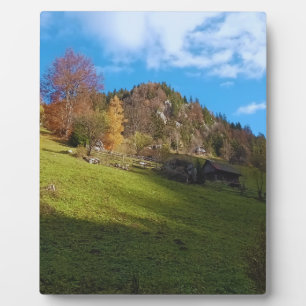 Placa Expositora El Alto Prado - Naturaleza Salvaje Rumania