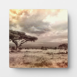 Placa Expositora El arte arbolado decora el destino de África