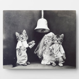 Placa Expositora El Boda Harry Whittier libera a 1914