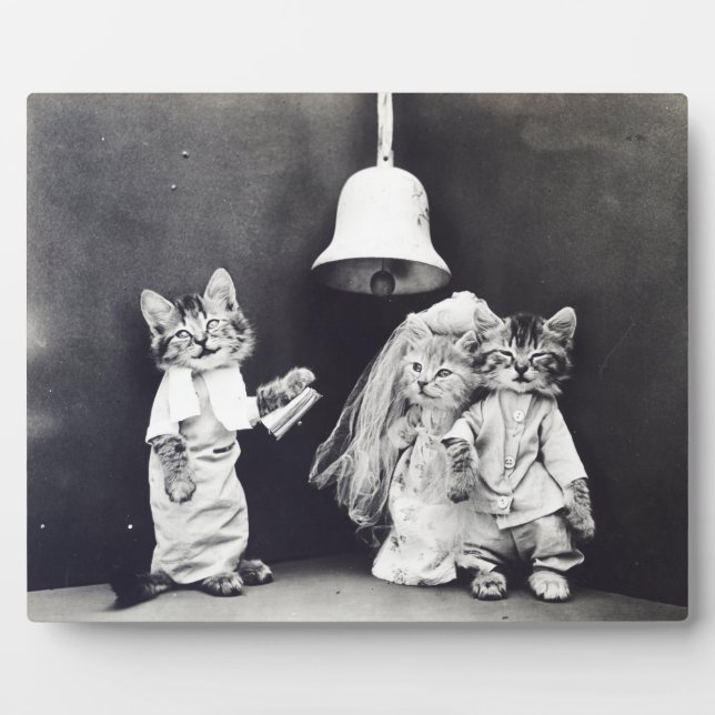 Placa Expositora El Boda Harry Whittier libera a 1914 (Frente)