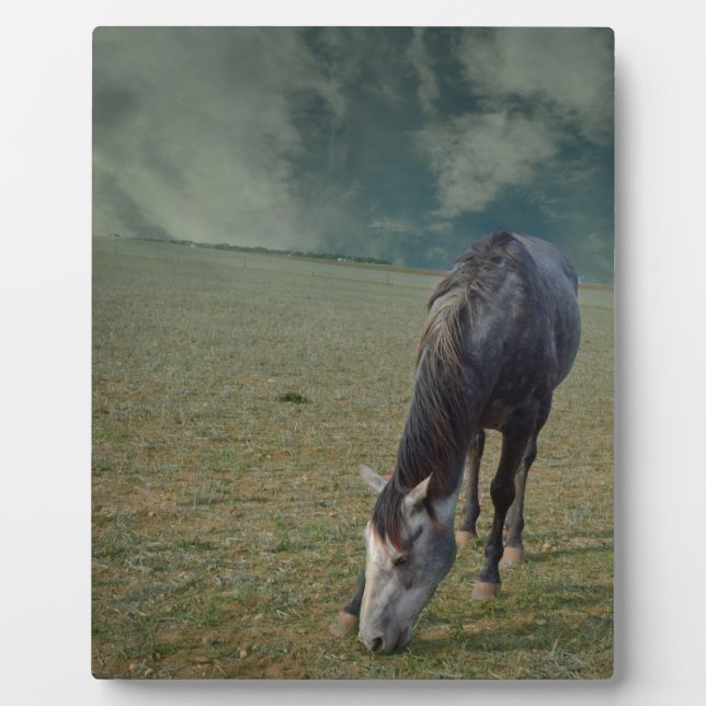 Placa Expositora El Caballo De Carretera En Paddock, (Frente)