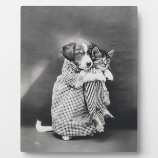 Placa Expositora El cachorro enfermera gatito Harry Whittier Frees 