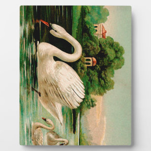 Placa Expositora El cisne vintage en el lago