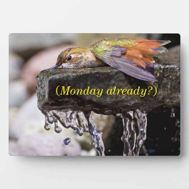 Placa Expositora El colibrí que está en el agua (Frente)