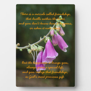 Placa Expositora El milagro de la amistad