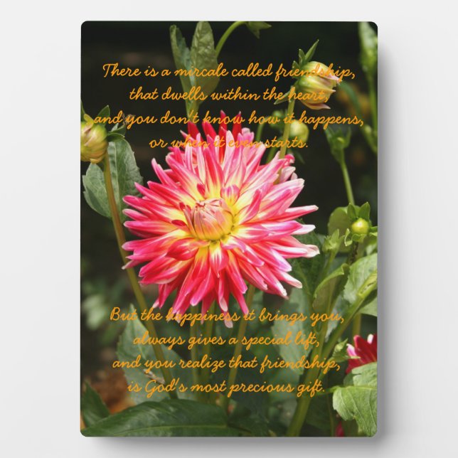 Placa Expositora El milagro de la amistad (Frente)