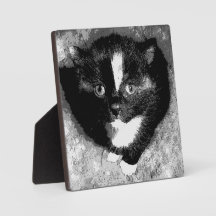 El observador silencioso