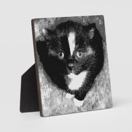 Placa Expositora El observador silencioso