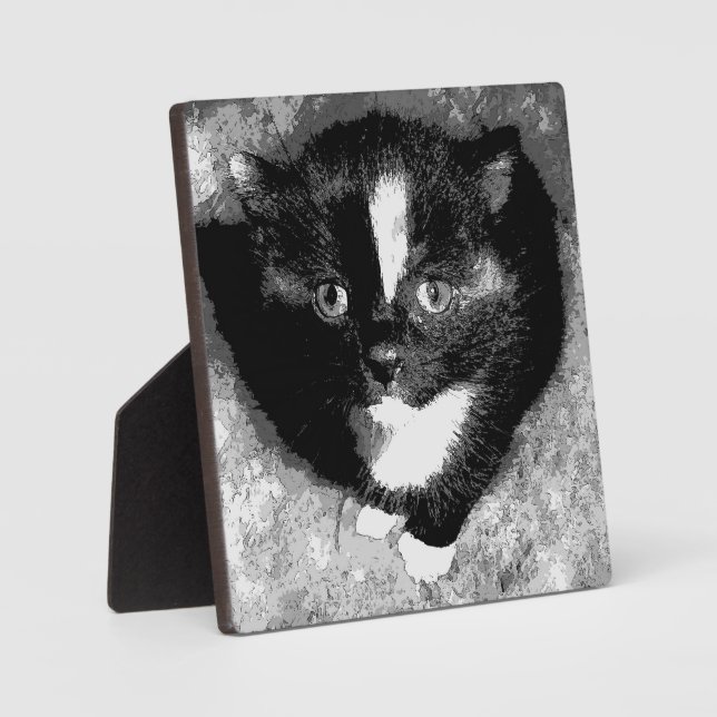 Placa Expositora El observador silencioso (Anverso)