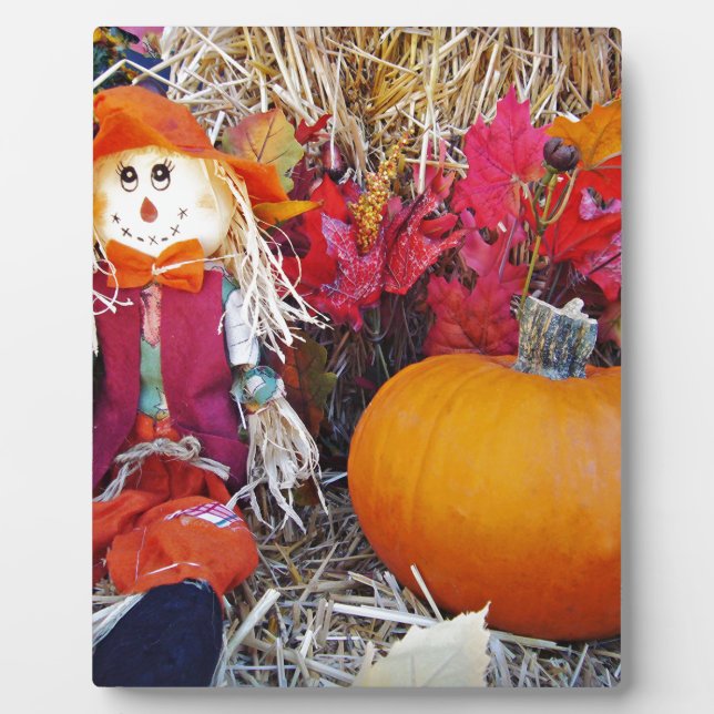 Placa Expositora El pequeño señor Scarecrow (Frente)