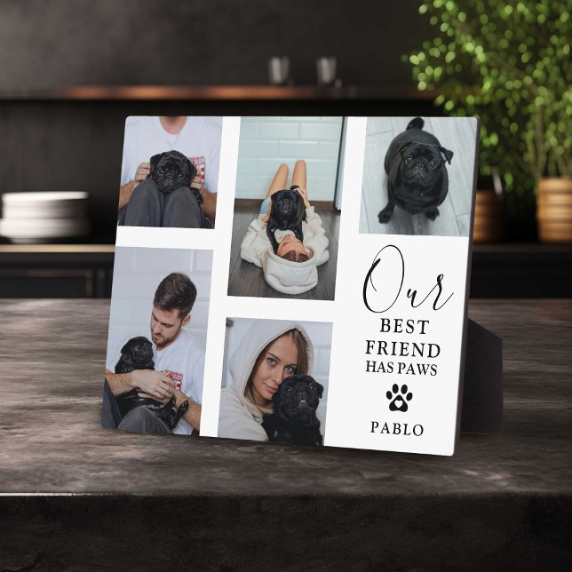 Placa Expositora El perro mejor amigo del Mascota, foto de Grid Kee (Subido por el creador)