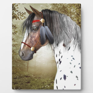 Placa Expositora El pony indio