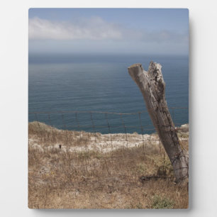 Placa Expositora El retratamiento del artista